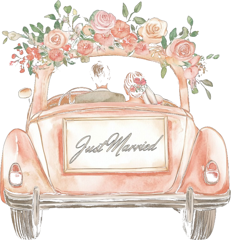 Brautpaar im Hochzeitsauto – Just Married